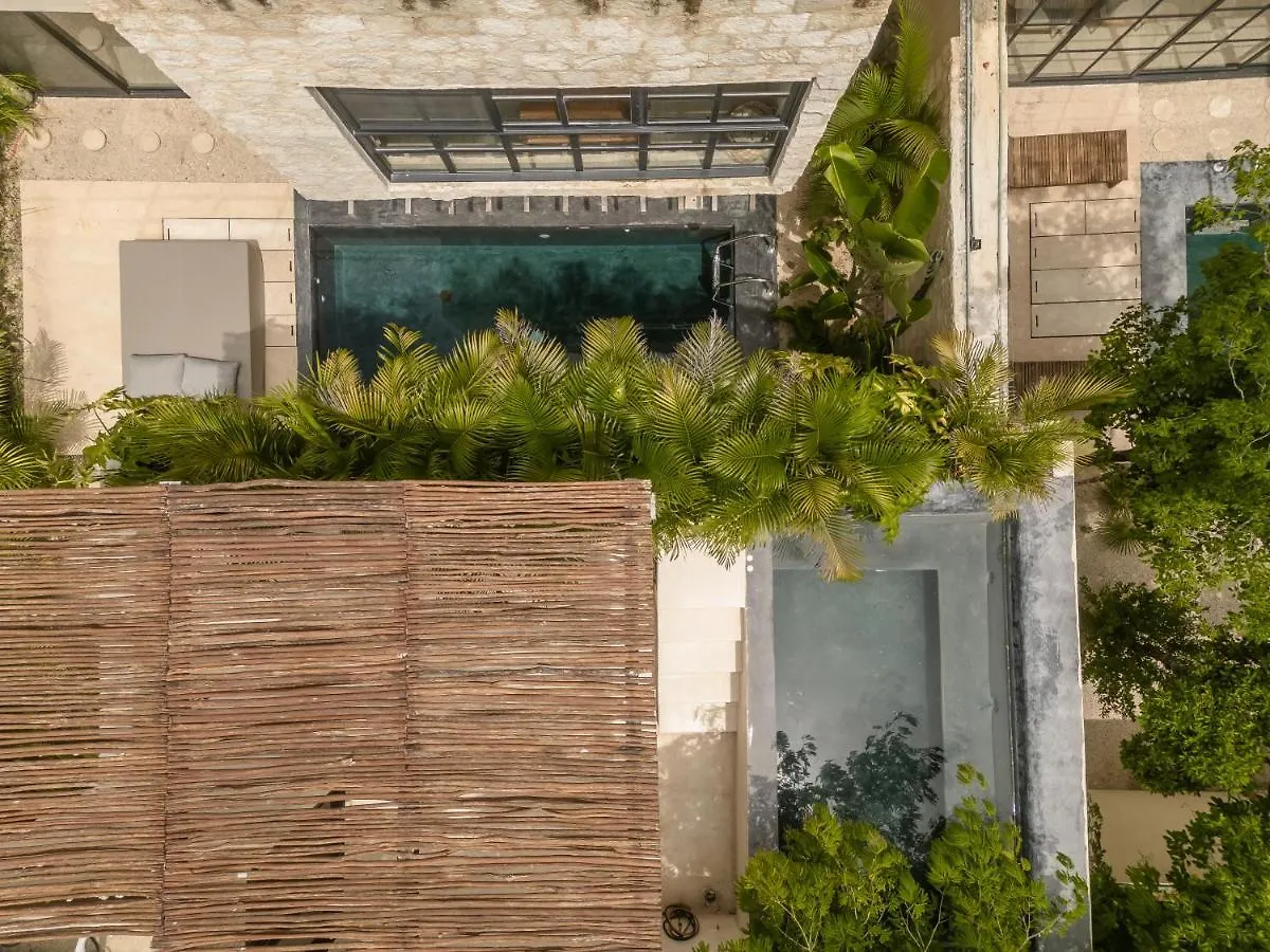 Villa New Aura Jungle Getaway Tulum
